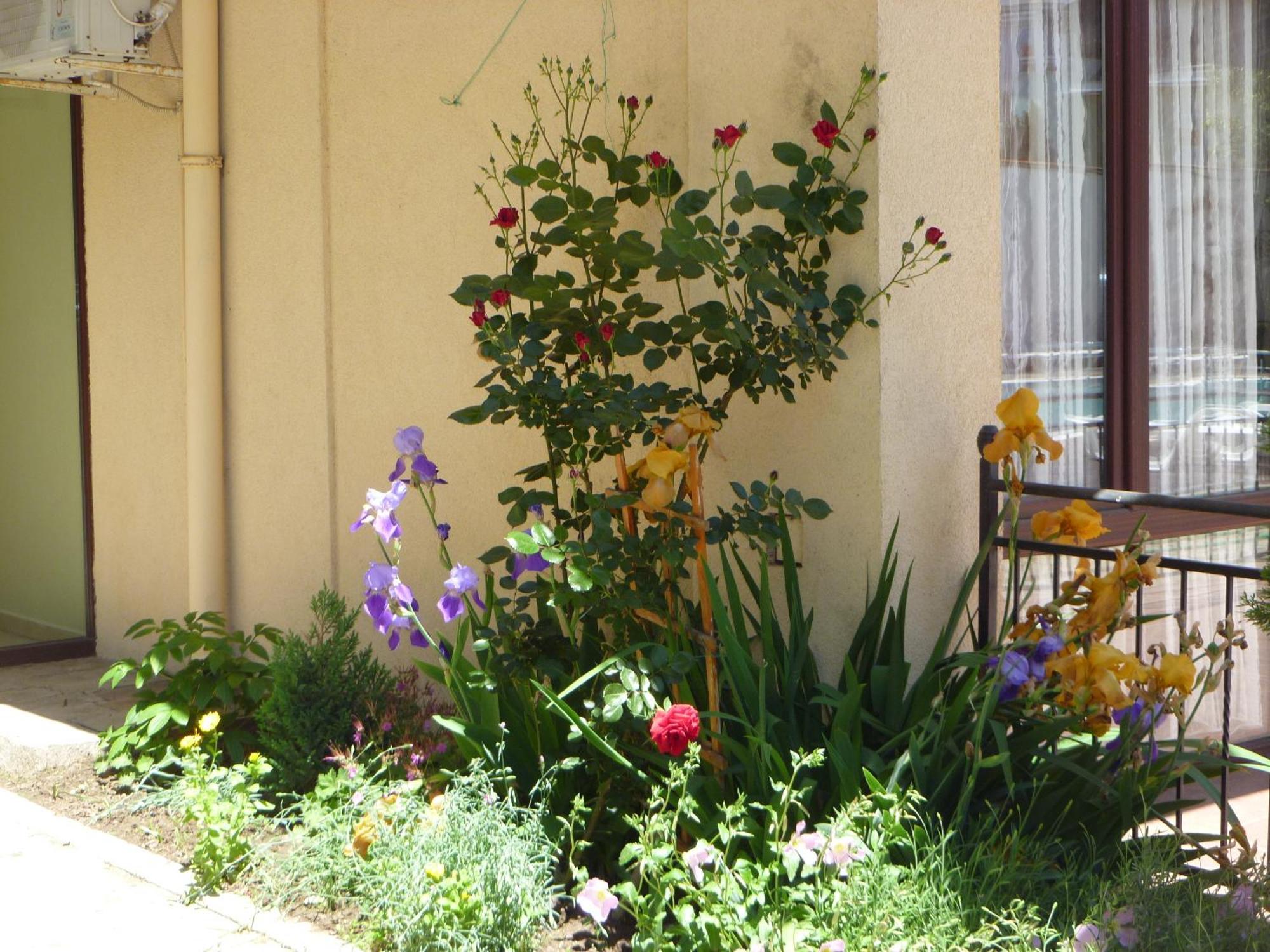 Apartment Tourist Complex Rose Village サニービーチ エクステリア 写真